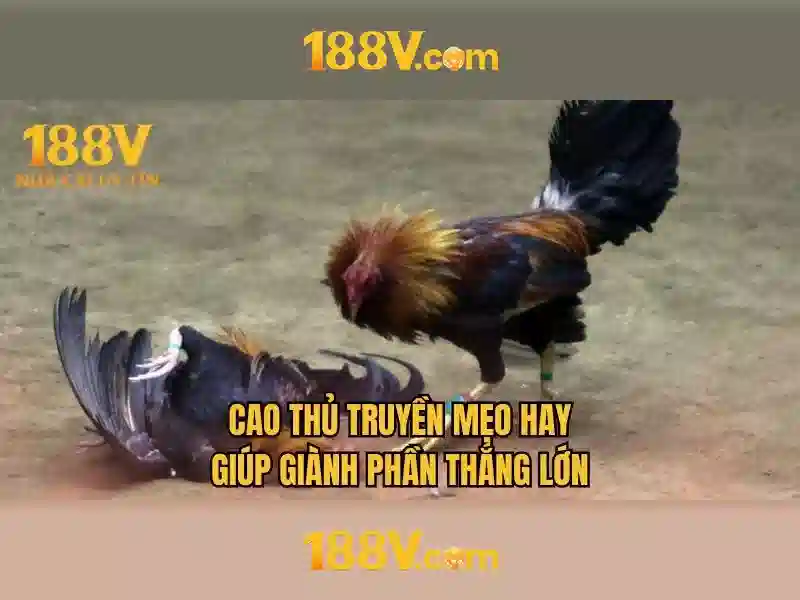Khung cảnh và nguồn gốc của 188v
