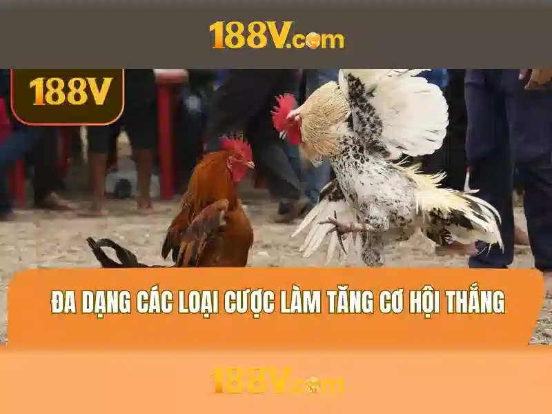 Ảnh hưởng của 188v đối với dữ liệu