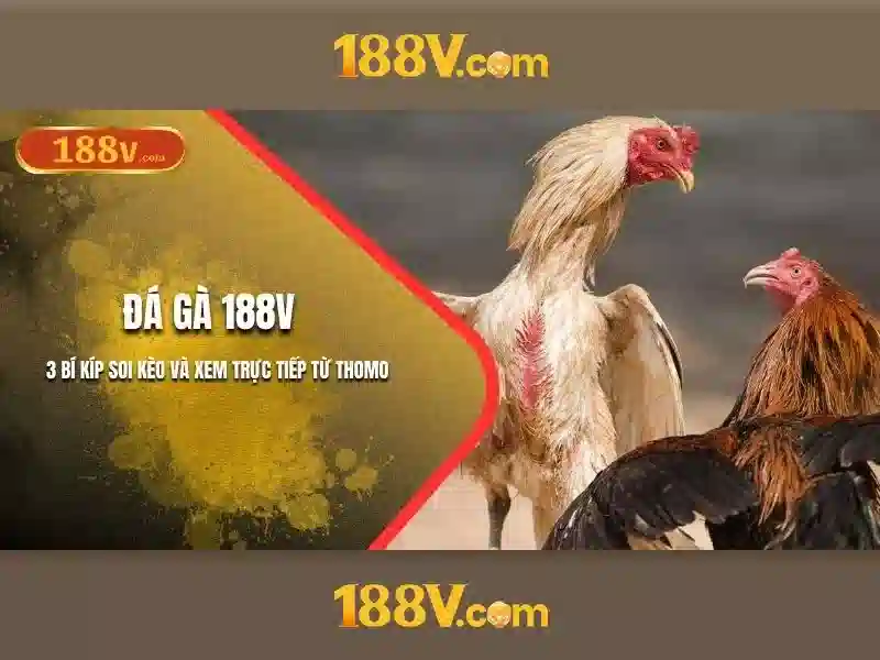 Ý nghĩa và ứng dụng của 188v