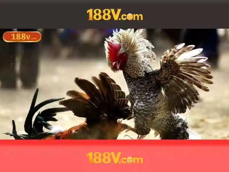 Khía cạnh sáng tạo của 188v