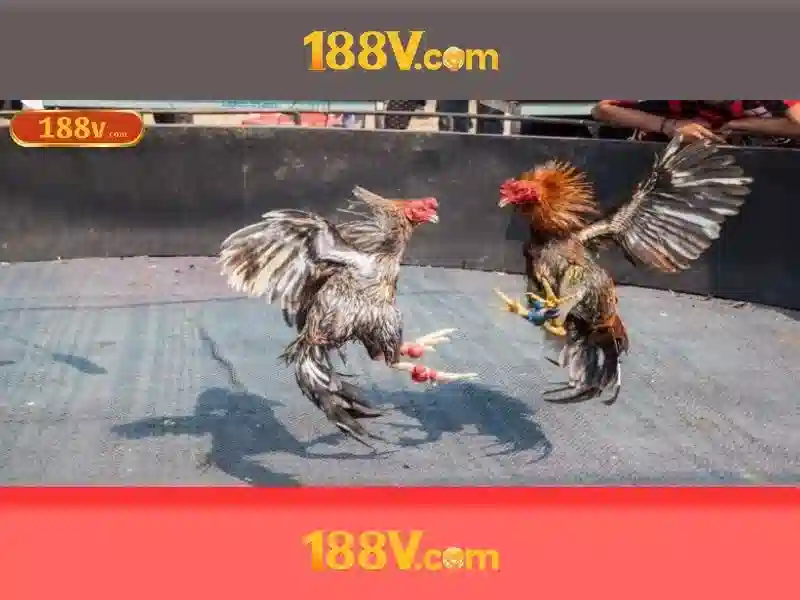 An toàn khi làm việc với 188V
