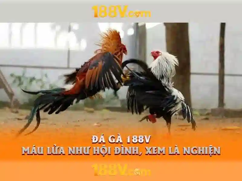 Nguồn gốc của 188v