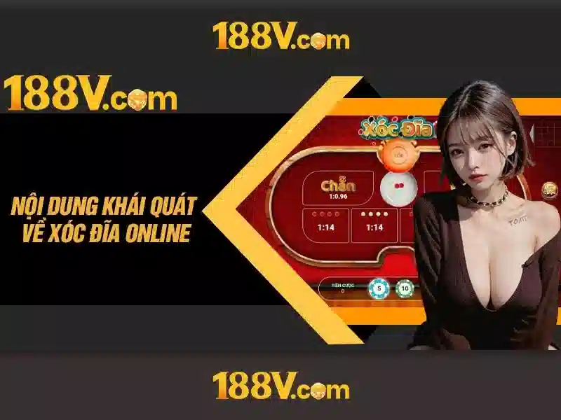 Phản hồi và tương lai