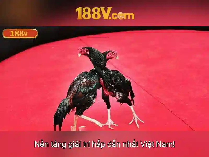 Tương lai của 188V