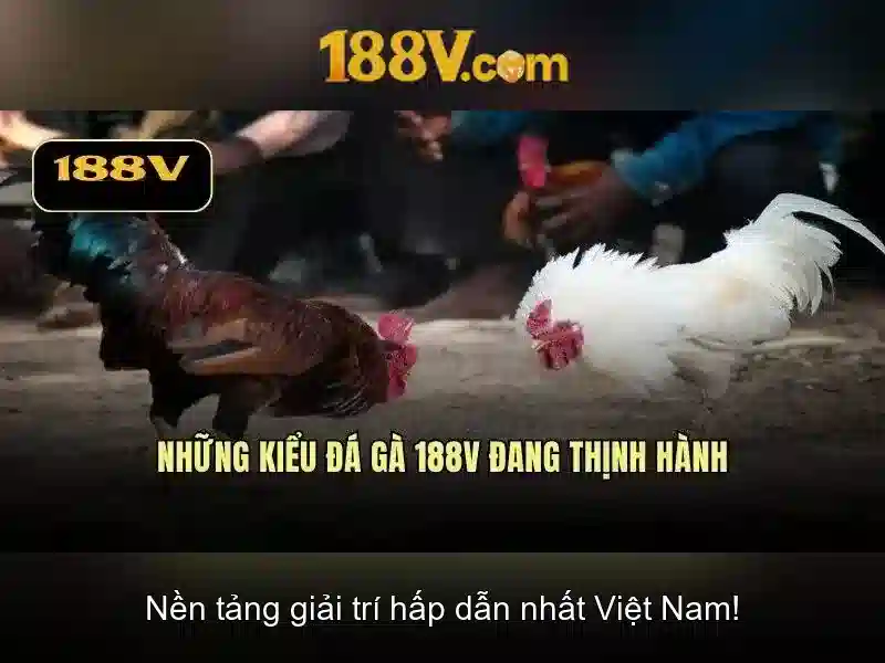 Tương lai của 188v và sự đổi mới