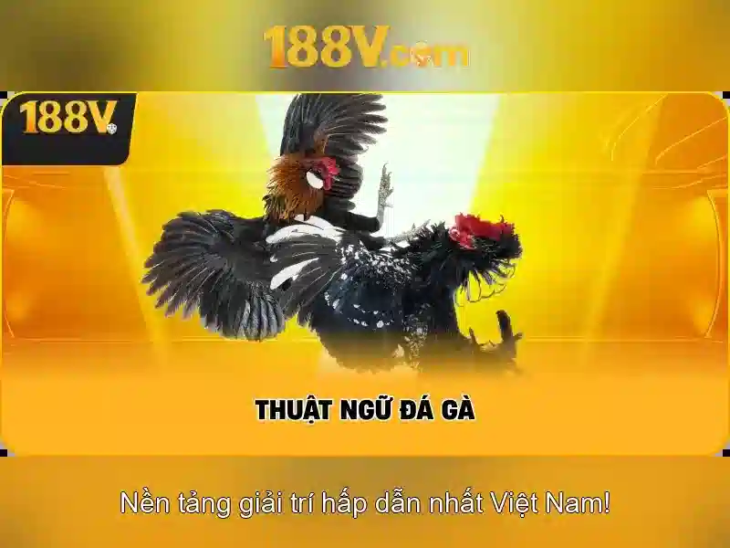 Nguồn gốc và mô hình