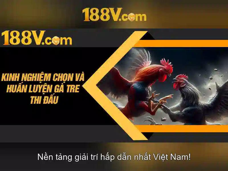 Tóm tắt cam kết chịu trách nhiệm và an toàn 