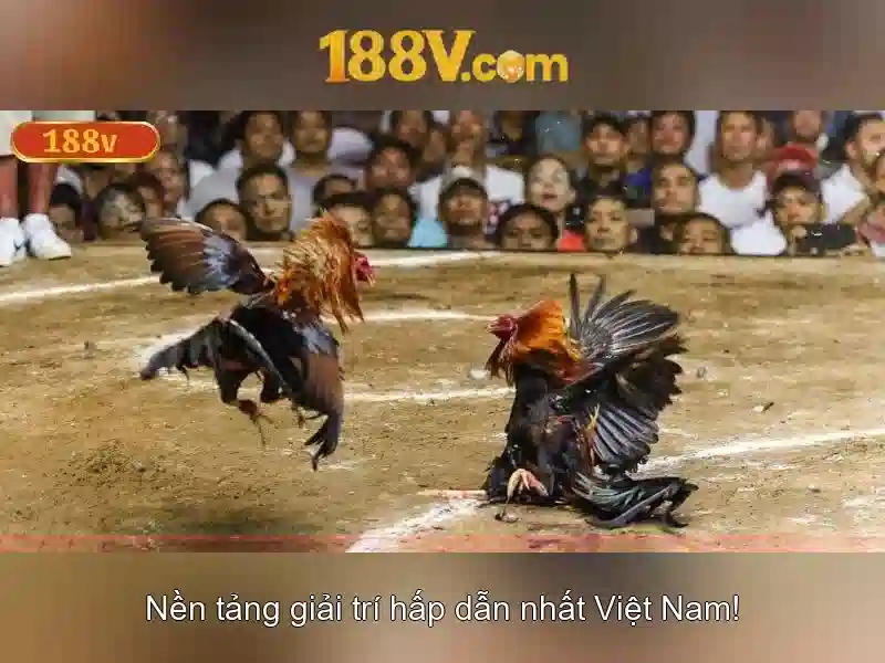 Khởi nguồn của khái niệm 188V