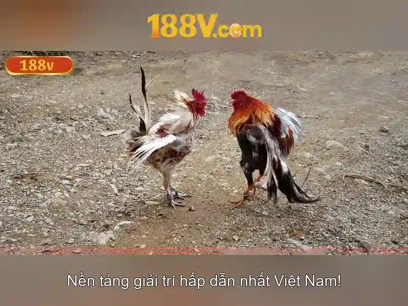 Kiểu biểu đạt và hình thức
